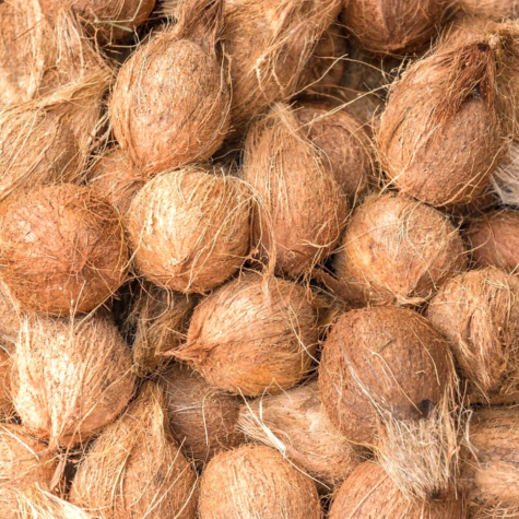 Coconut Semi Husked