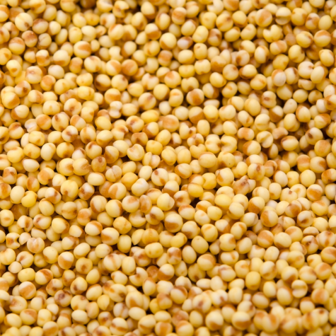 Foxtail Millet